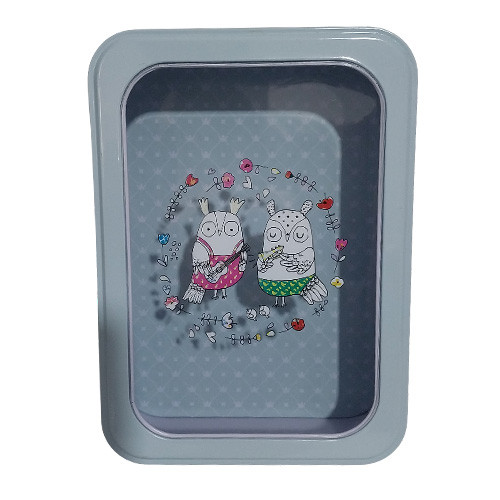 جعبه فلزی مستطیلی با درب شفاف